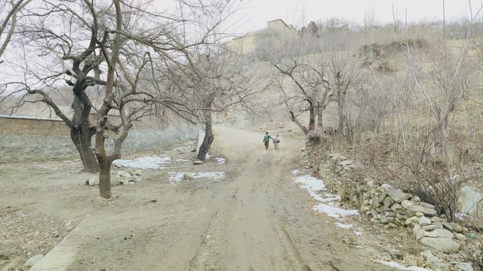 Afghanistan photo 24